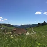 Gloecklehof Отель 3*