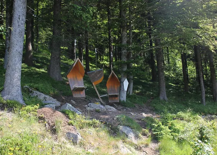 Gloecklehof 3* Todtnauberg